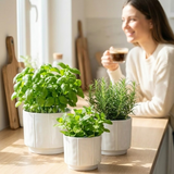 Woman sitting at a table with potted plants and a cup of tea in a bright room. 3-Piece White Stoneware Planter Pot Set with Soft Vertical Texture