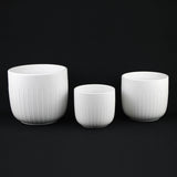 3-Piece White Stoneware Planter Pot Set with Vertical Groove Texture texture on a black background