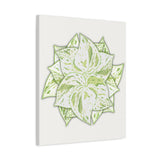 Snow Queen Pothos Canvas Print – Botanical Wall Art