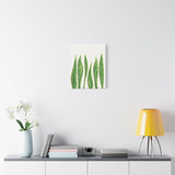 Snake Plant Canvas Print – Botanical Wall Art