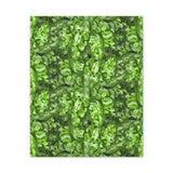 Aglaonema Pictum Canvas Print – Botanical Wall Art