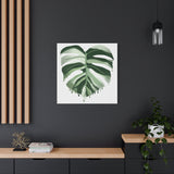 Melting Monstera Albo Canvas Print – Botanical Wall Art