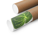 Philodendron Gloriosum Botanical Print – Unframed Wall Art