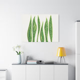 Snake Plant Canvas Print – Botanical Wall Art