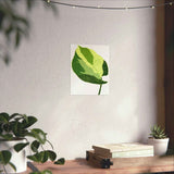 Manjula Pothos Illustrated Botanical Print – Unframed Wall Art