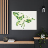 Marble Syngonium Canvas Print – Botanical Wall Art