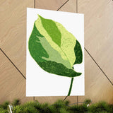 Manjula Pothos Illustrated Botanical Print – Unframed Wall Art