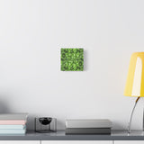 Aglaonema Pictum Canvas Print – Botanical Wall Art
