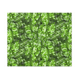 Aglaonema Pictum Canvas Print – Botanical Wall Art