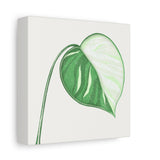 Monstera Albo Canvas Print – Botanical Wall Art