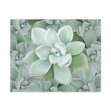 Pachyveria Haagei Succulent Pattern Canvas Print – Botanical Wall Art