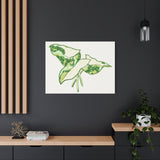 Marble Syngonium Canvas Print – Botanical Wall Art