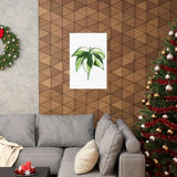 Philodendron Cream Splash Botanical Print – Unframed Wall Art
