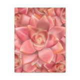 Graptosedum California Sunset Succulent Pattern Canvas Print – Botanical Wall Art