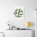 Manjula Pothos Canvas Print – Botanical Wall Art