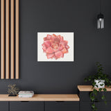 Graptosedum California Sunset Succulent Canvas Print – Botanical Wall Art