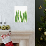 Snake Plant Botanical Print – Unframed Wall Art