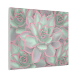 Echeveria Violet Queen Succulent Pattern Canvas Print – Botanical Wall Art
