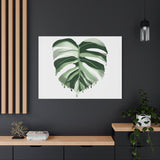 Melting Monstera Albo Canvas Print – Botanical Wall Art