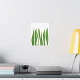 Snake Plant Botanical Print – Unframed Wall Art
