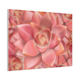 Graptosedum California Sunset Succulent Pattern Canvas Print – Botanical Wall Art