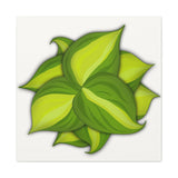 Philodendron Brasil Canvas Print – Botanical Wall Art