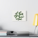 Manjula Pothos Canvas Print – Botanical Wall Art