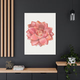 Graptosedum California Sunset Succulent Canvas Print – Botanical Wall Art