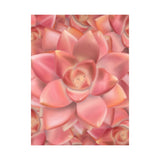 Graptosedum California Sunset Succulent Pattern Canvas Print – Botanical Wall Art