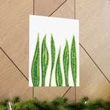 Snake Plant Botanical Print – Unframed Wall Art