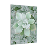 Pachyveria Haagei Succulent Pattern Canvas Print – Botanical Wall Art