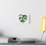 Melting Monstera Albo Canvas Print – Botanical Wall Art