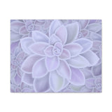 Graptopetalum Murasaki Succulent Pattern Canvas Print – Botanical Wall Art