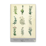 Illustration of various plants on a beige background with text at the bottom.