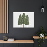 Ponderosa Pine Canvas Print – Wall Art