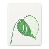Monstera Albo Canvas Print – Botanical Wall Art