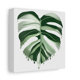 Melting Monstera Albo Canvas Print – Botanical Wall Art