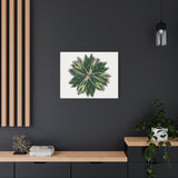Stromanthe Triostar Canvas Print – Botanical Wall Art