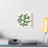 Manjula Pothos Canvas Print – Botanical Wall Art