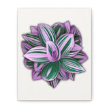 Tradescantia Nanouk Canvas Print – Botanical Wall Art
