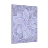 Graptopetalum Murasaki Succulent Pattern Canvas Print – Botanical Wall Art