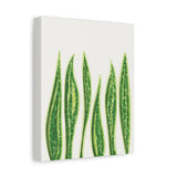Snake Plant Canvas Print – Botanical Wall Art