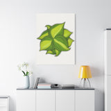 Philodendron Brasil Canvas Print – Botanical Wall Art