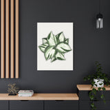 Manjula Pothos Canvas Print – Botanical Wall Art