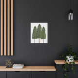 Ponderosa Pine Canvas Print – Wall Art