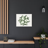 Manjula Pothos Canvas Print – Botanical Wall Art