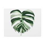 Melting Monstera Albo Canvas Print – Botanical Wall Art