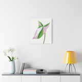 Syngonium Tricolor Canvas Print – Botanical Wall Art