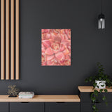 Graptosedum California Sunset Succulent Pattern Canvas Print – Botanical Wall Art
