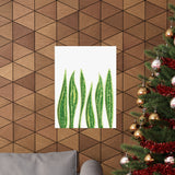 Snake Plant Botanical Print – Unframed Wall Art